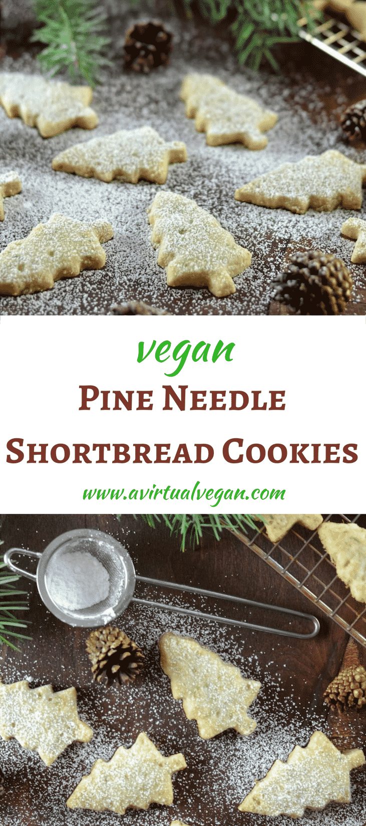 Melt in your mouth Pine Needle Shortbread Cookies. A twist on an old favourite with just a hint of piney, citrusy flavour. Delicate, delicious & sure to impress!