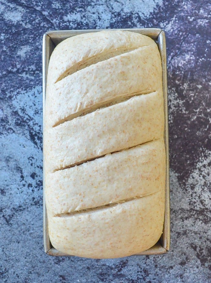 licht gemakkelijk volkorenbrood gesneden en klaar om gebakken te worden