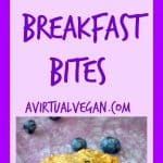 blueberry breakfast bites