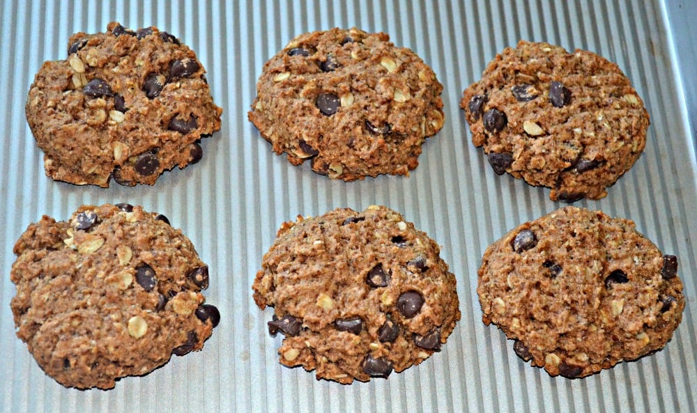 Almond Pulp or Oat Pulp Chocolate Chip Cookies 