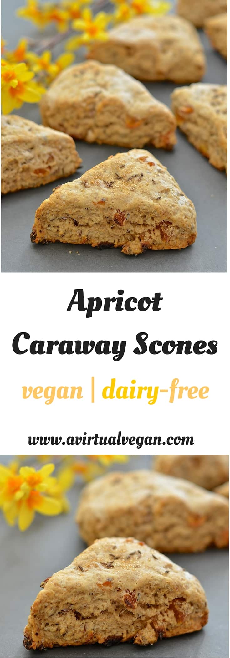 With their crunchy exterior & dense, slightly crumbly but soft & tender interior, these Apricot Caraway scones are utterly delicious!