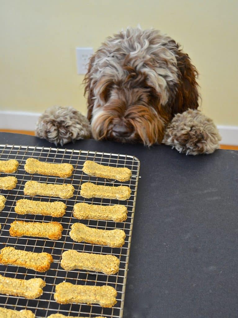 3 ingredient sweet potato dog biscuits