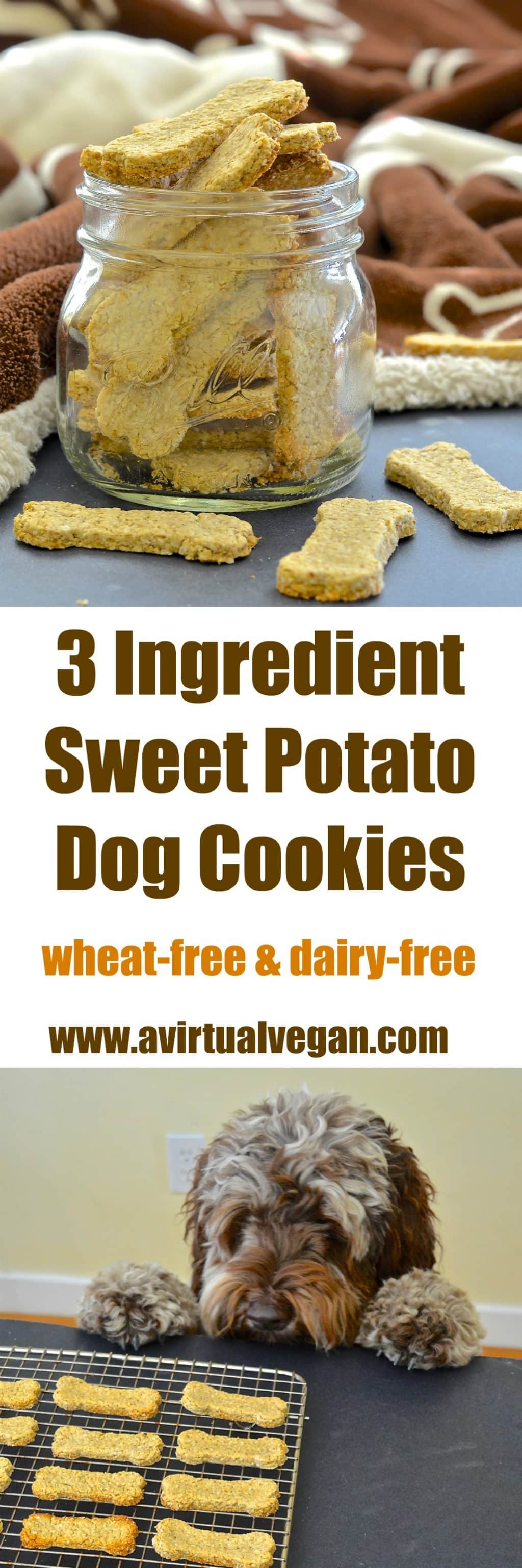 Make your dog's day by baking some healthy, 3 ingredient, wheat-free & dairy-free Sweet Potato Dog Cookies!