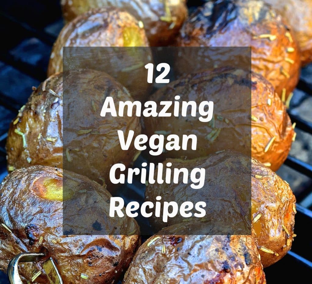 12 Amazing Vegan Grilling Recipes A Virtual Vegan