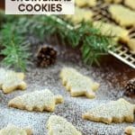 Melt in your mouth Pine Needle Shortbread Cookies. A twist on an old favourite with just a hint of piney, citrusy flavour. Delicate, delicious & sure to impress!