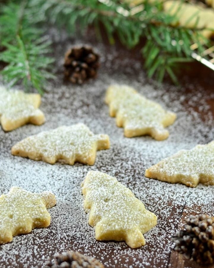 pine needle cookies