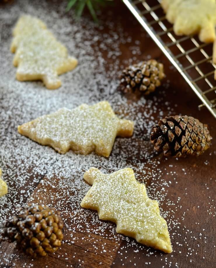 Melt in your mouth Pine Needle Shortbread Cookies. A twist on an old favourite with just a hint of piney, citrusy flavour. Delicate, delicious & sure to impress!