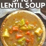 Slow Cooker Spicy Lentil Soup