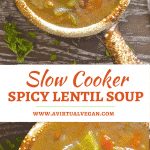 Healthy doesn't get any easier than this cozy Slow Cooker Spicy Lentil Soup. Throw it all in. Forget about it. No fuss. Super easy. Super nutritious. Super tasty.