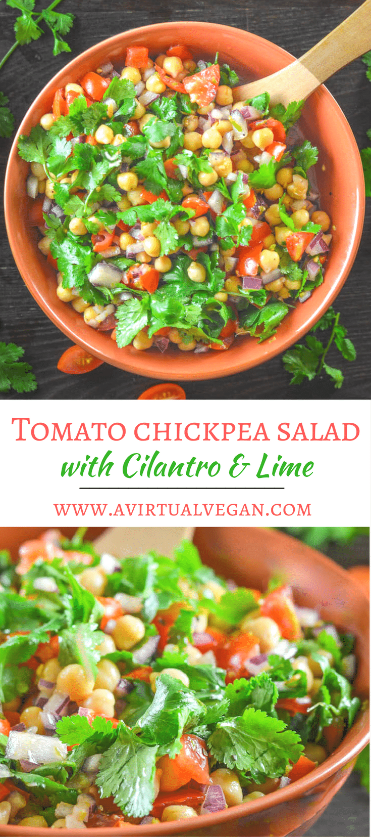 bit packed c fields Chickpea Tomato Lime Vegan Cilantro & Salad Virtual  A with