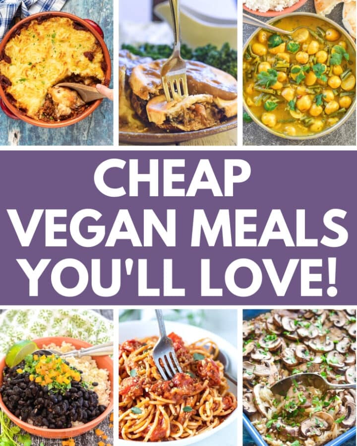 Need some cheap vegan meals that will help keep your wallet full and tastebuds happy? I've got you covered with this selection of budget friendly recipes you'll love! 