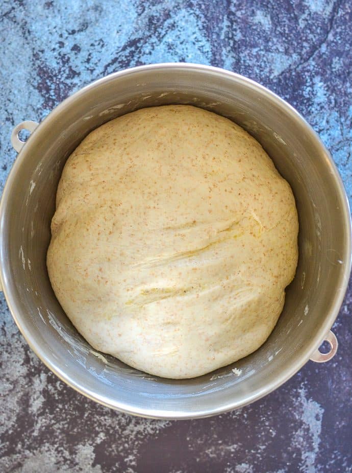 easy whole wheat bread dough after bulk fermentation