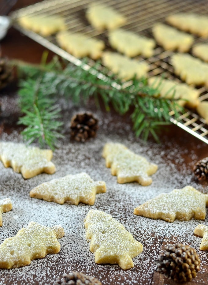 Pine needle Cookies with powdered sugar