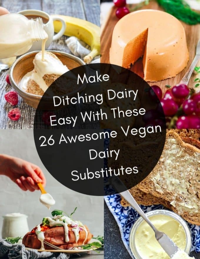 Up your vegan game with these super tasty vegan dairy substitutes. You'll find everything from plant-based milk, cheese, yogurt and butter!
