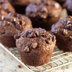 Super satisfying, insanely delicious, Healthy Chocolate Banana Muffins. Fluffy, perfectly sweet and moist, not dry and no mixer required!