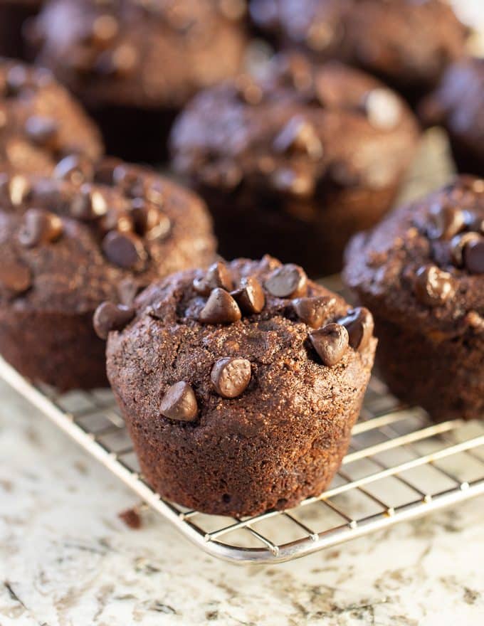 Super satisfying, insanely delicious, Healthy Chocolate Banana Muffins. Fluffy, perfectly sweet and moist, not dry and no mixer required!