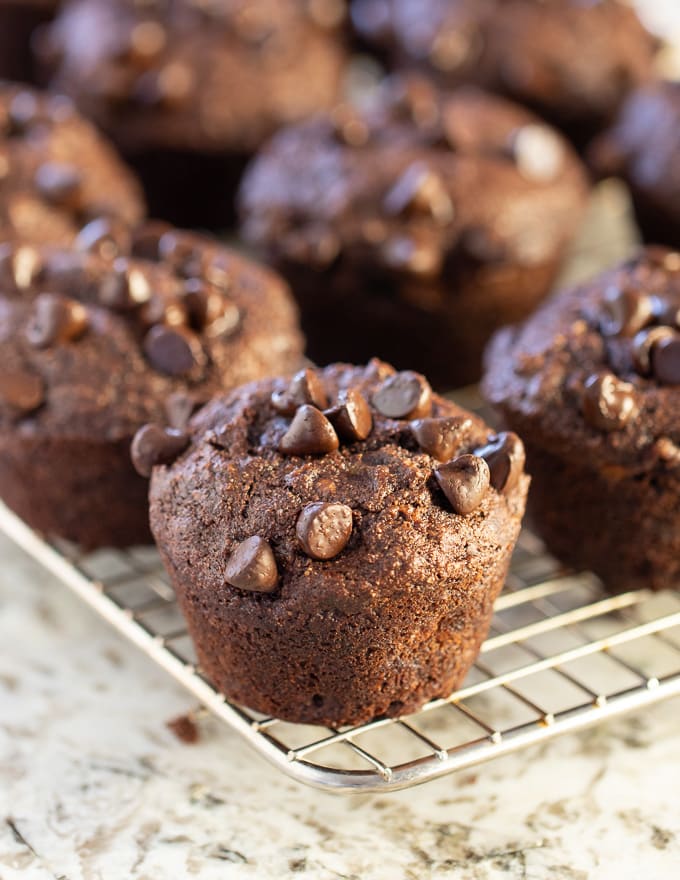 Featured image of post Steps to Make Chocolate Banana Muffins Allrecipes