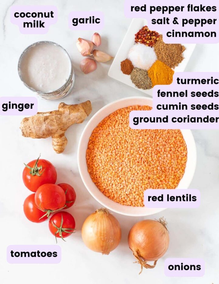 instant-pot-lentil-dal-a-virtual-vegan