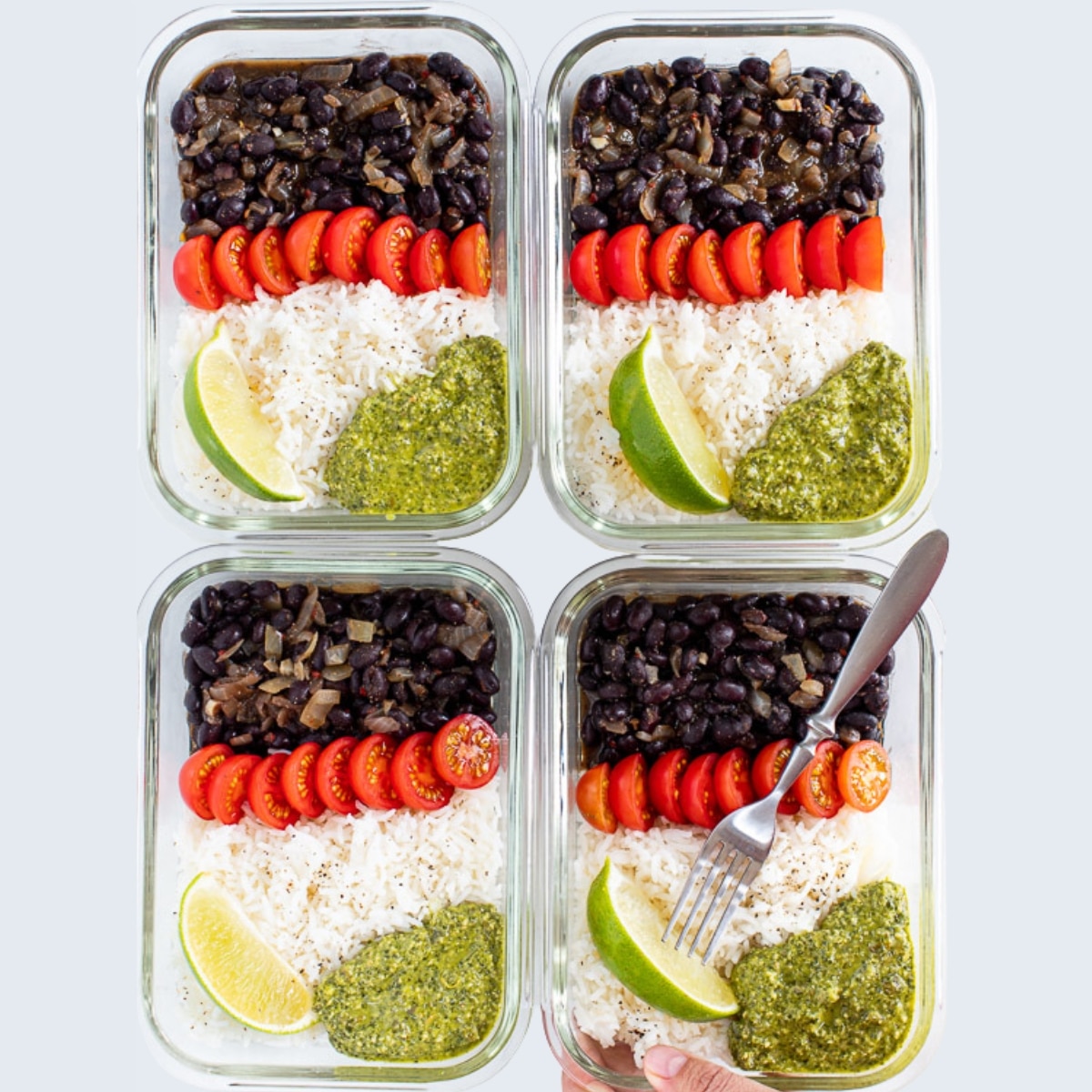 https://avirtualvegan.com/wp-content/uploads/2019/08/vegan-meal-prep-with-black-beans-rice-square.jpg
