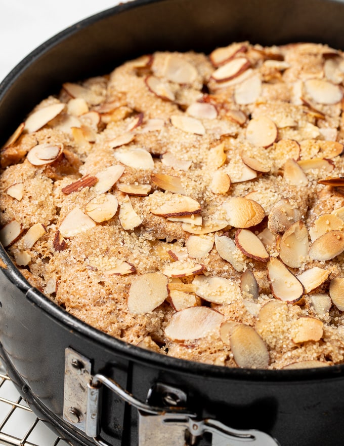 vegan apple cake in a springform pan