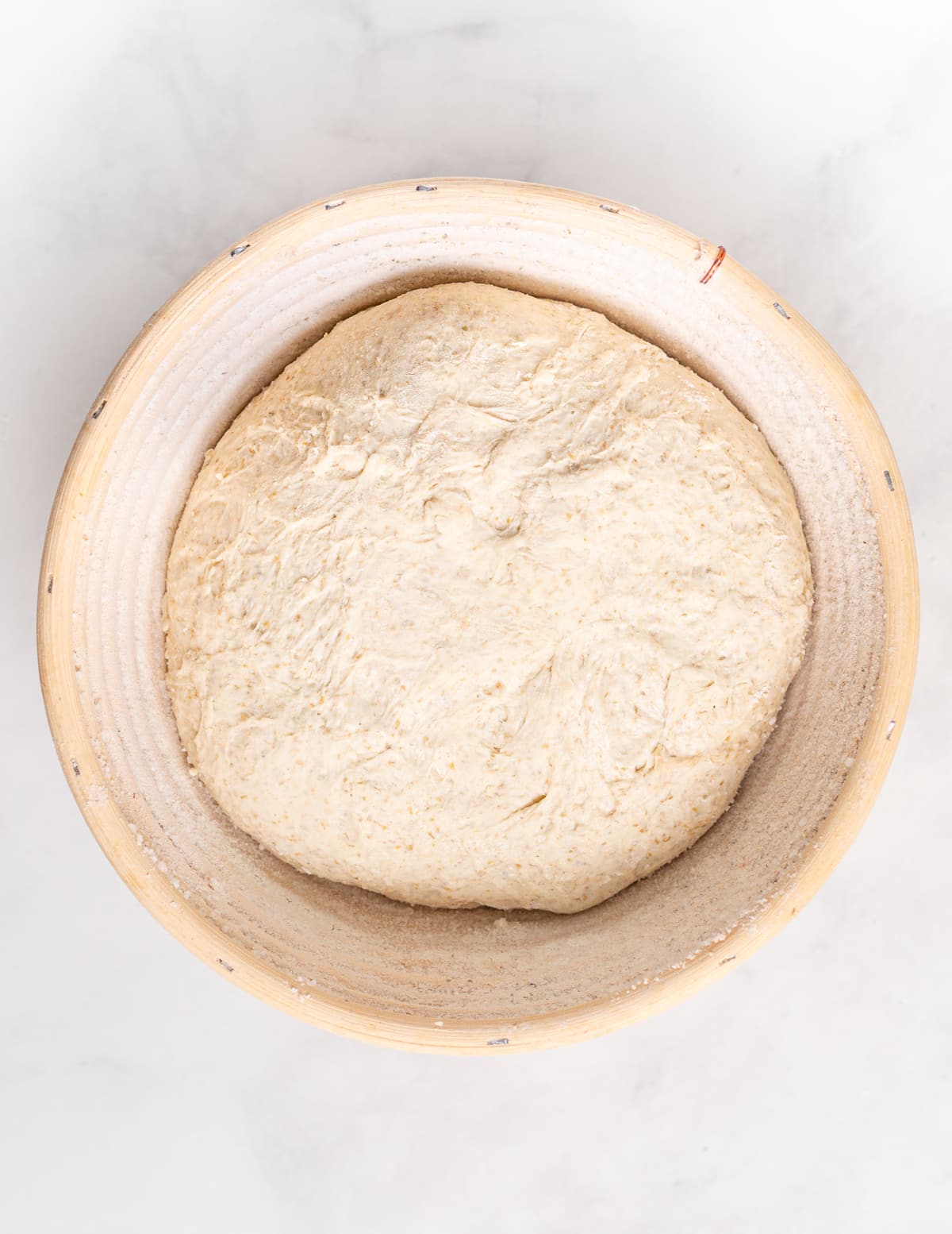 shaped sourdough bread dough in a floured banneton