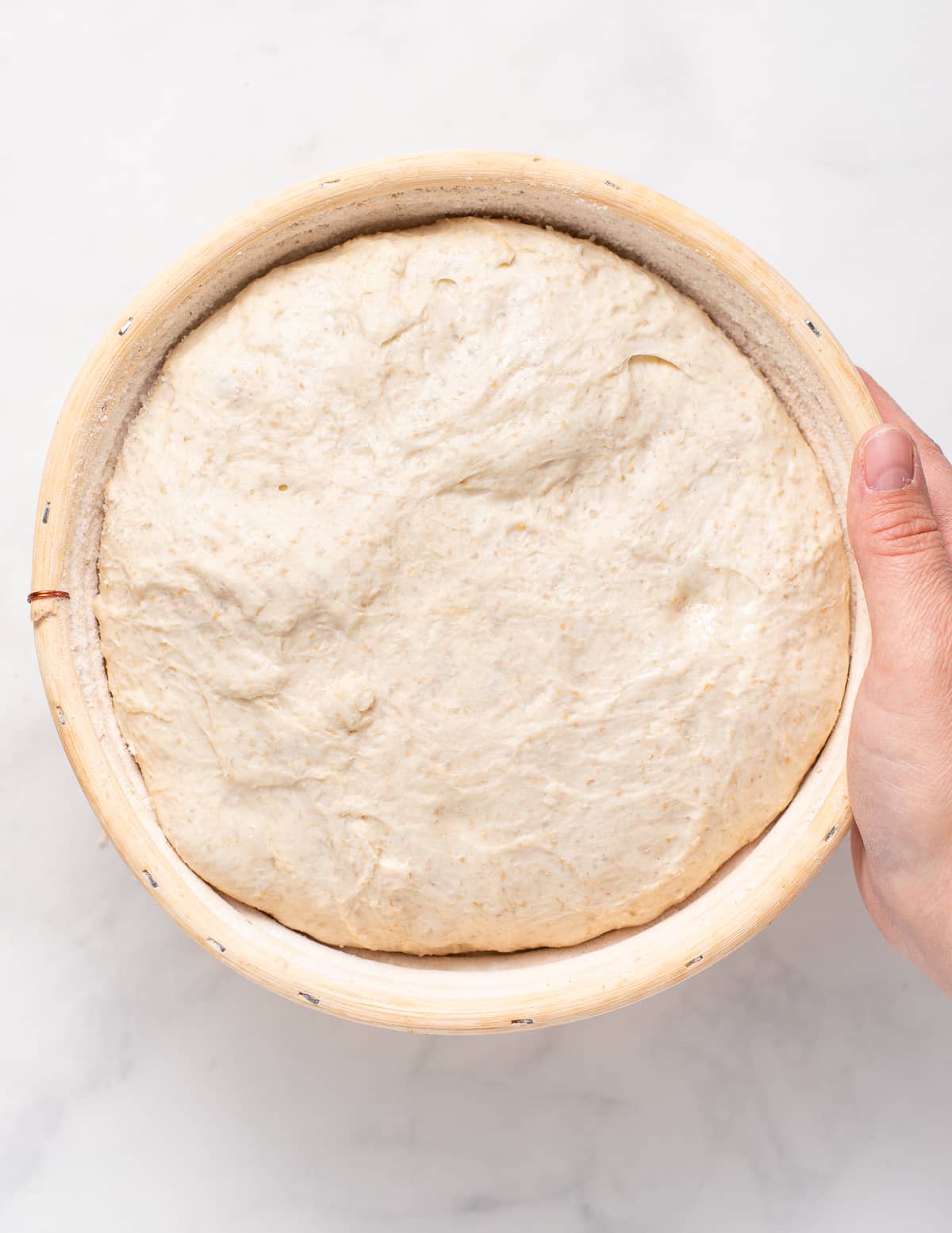 risen sourdough bread dough in a banneton