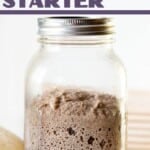 easy no discard sourdough starter
