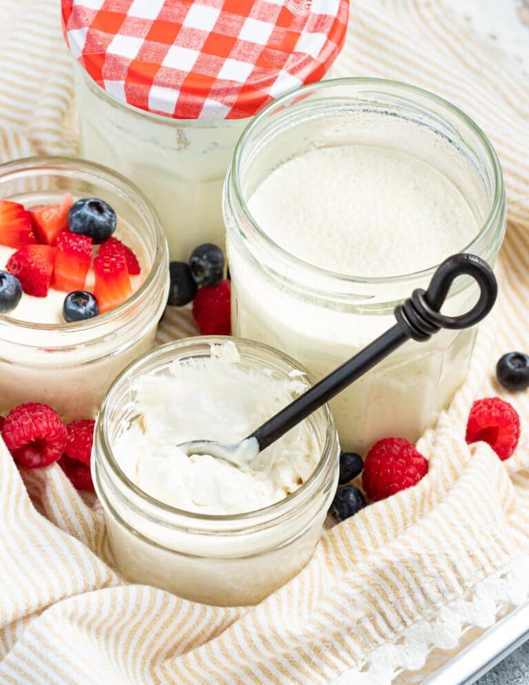 Vegan Yogurt Recipe So thick & creamy! A Virtual Vegan