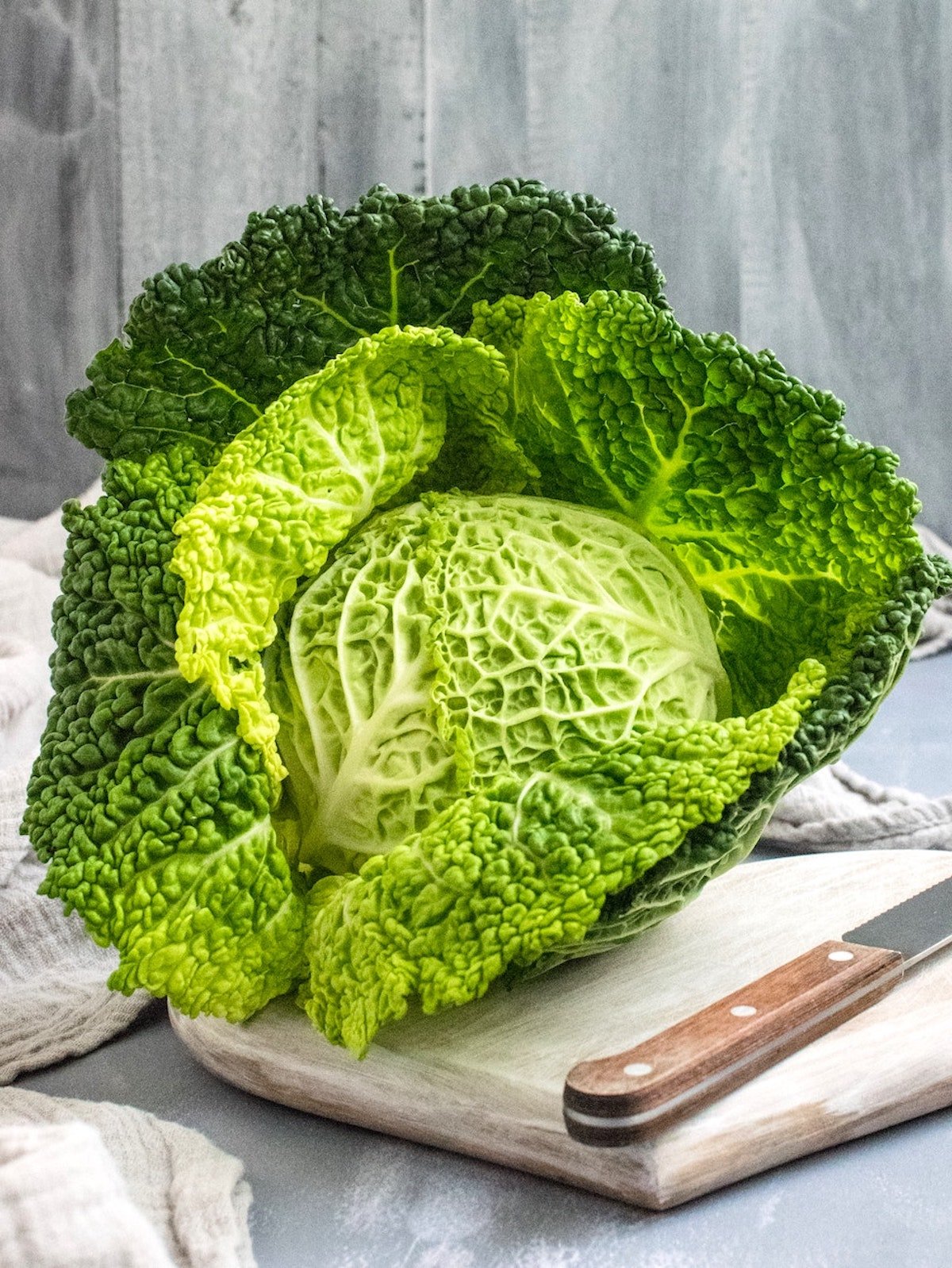 a savoy cabbage