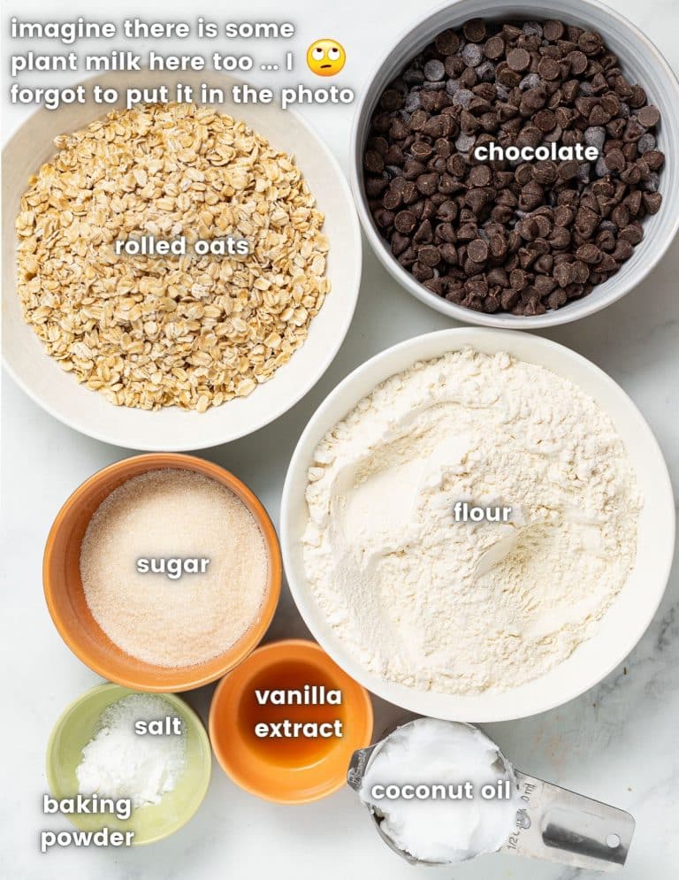Chocolate Oatmeal Bars | Great for dessert or snacks - A Virtual Vegan