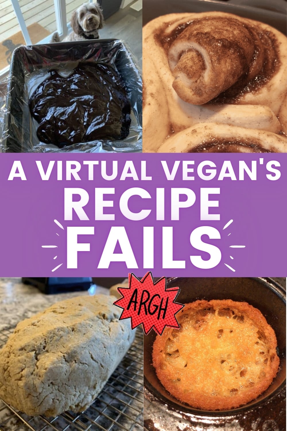 a-virtual-vegan-s-recipe-fails-a-virtual-vegan