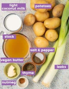 Vegan Leek and Potato Soup - A Virtual Vegan