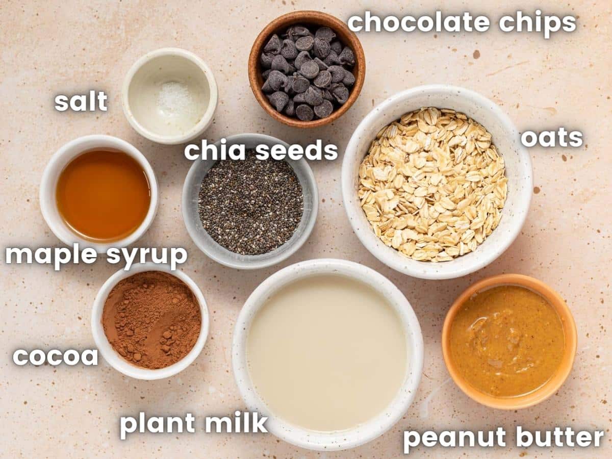 ingredients needed to make chocolate peanut butter overnight oats 