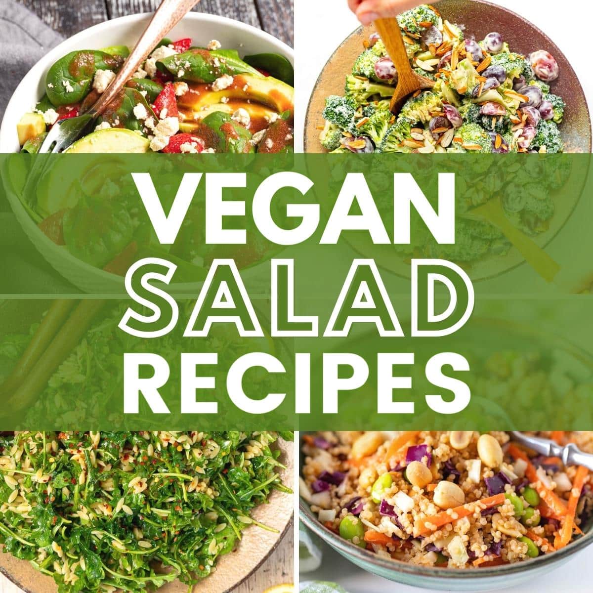 Vegan Salad Recipes - A Virtual Vegan