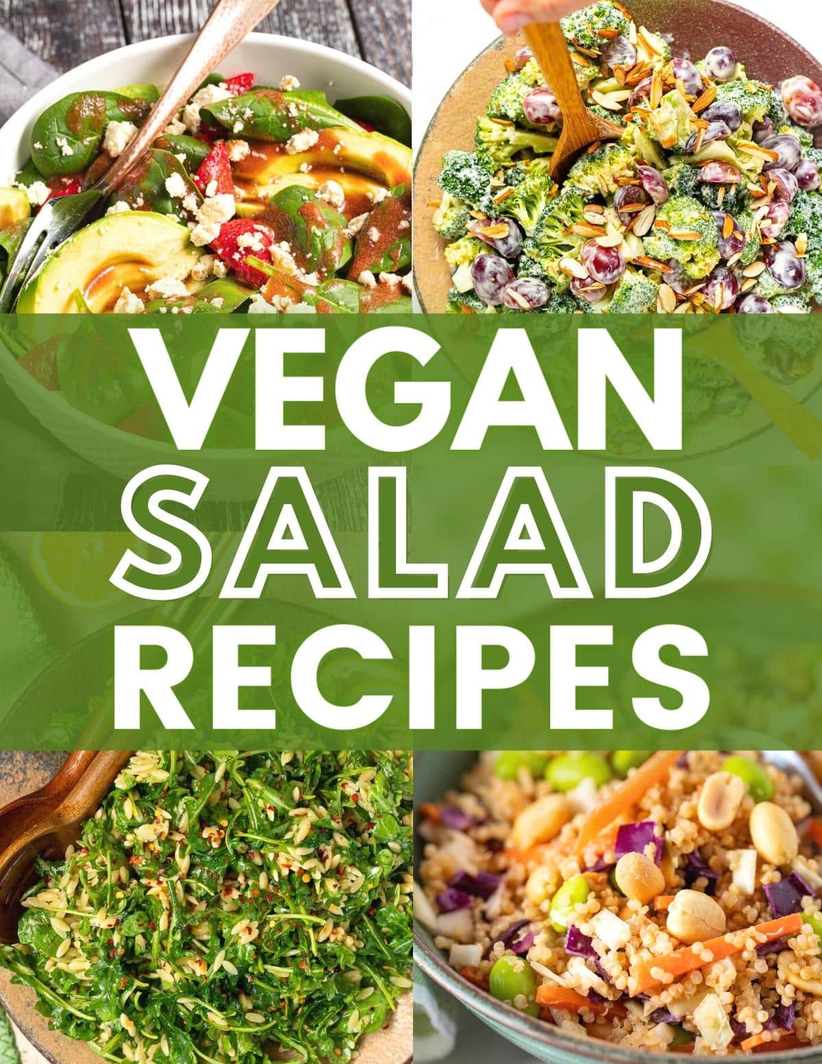 Vegan Salad Recipes - A Virtual Vegan