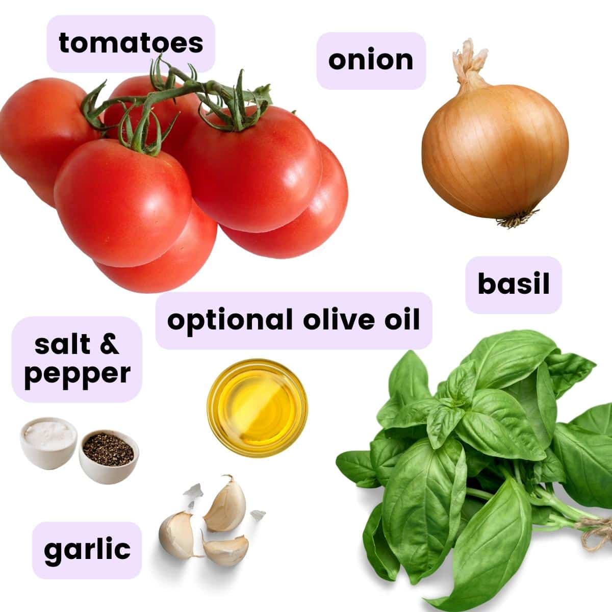 ingredients needed to make tomato basil soup