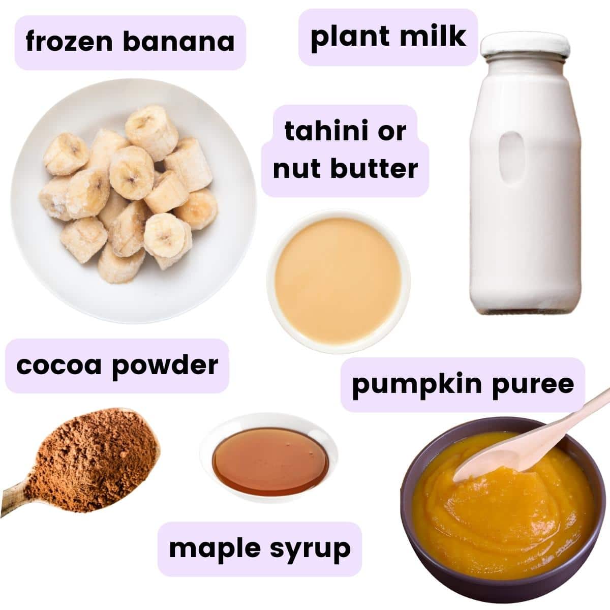 ingredients needed to make a pumpkin chocolate smoothie