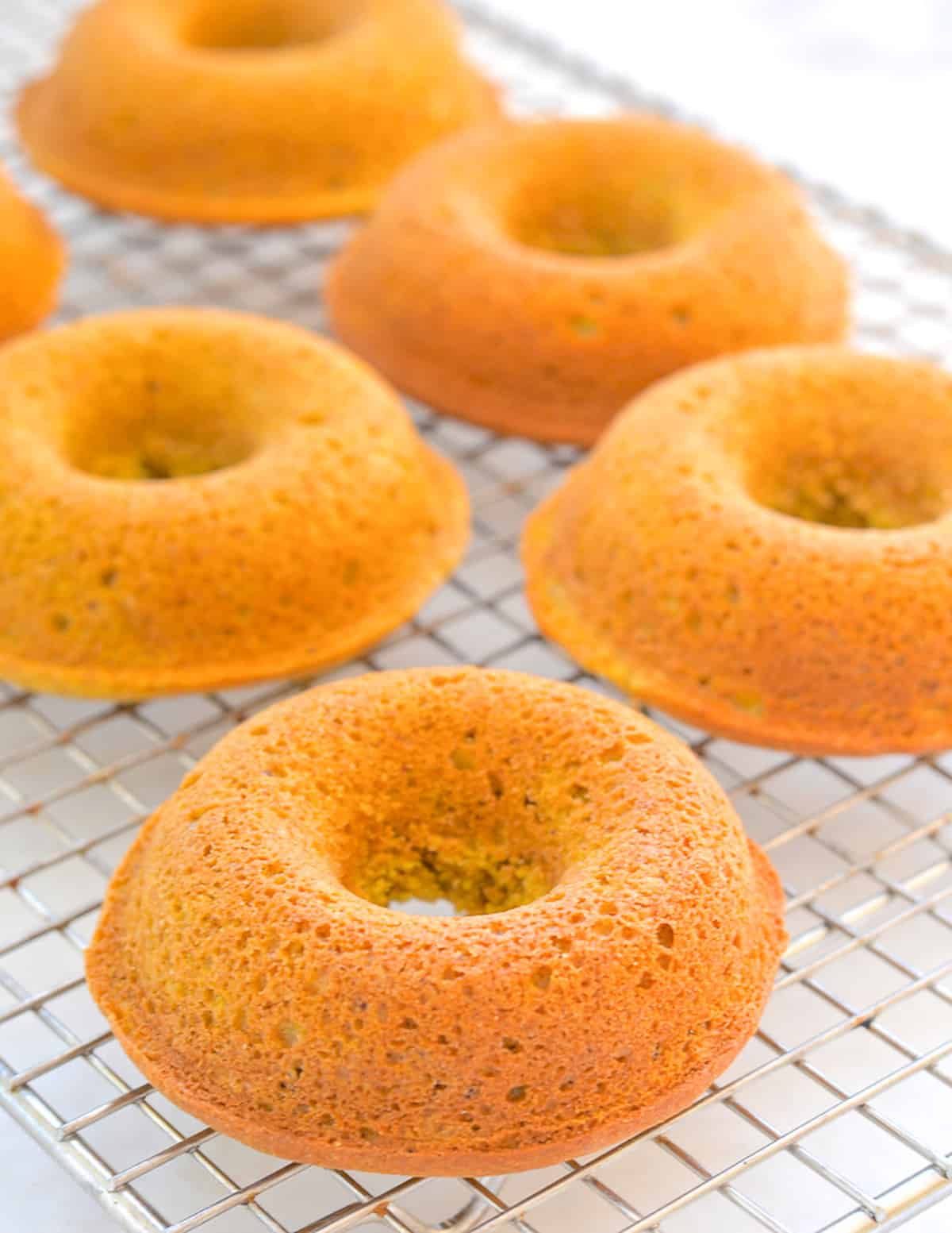 unfrosted chocolate pumpkin donuts