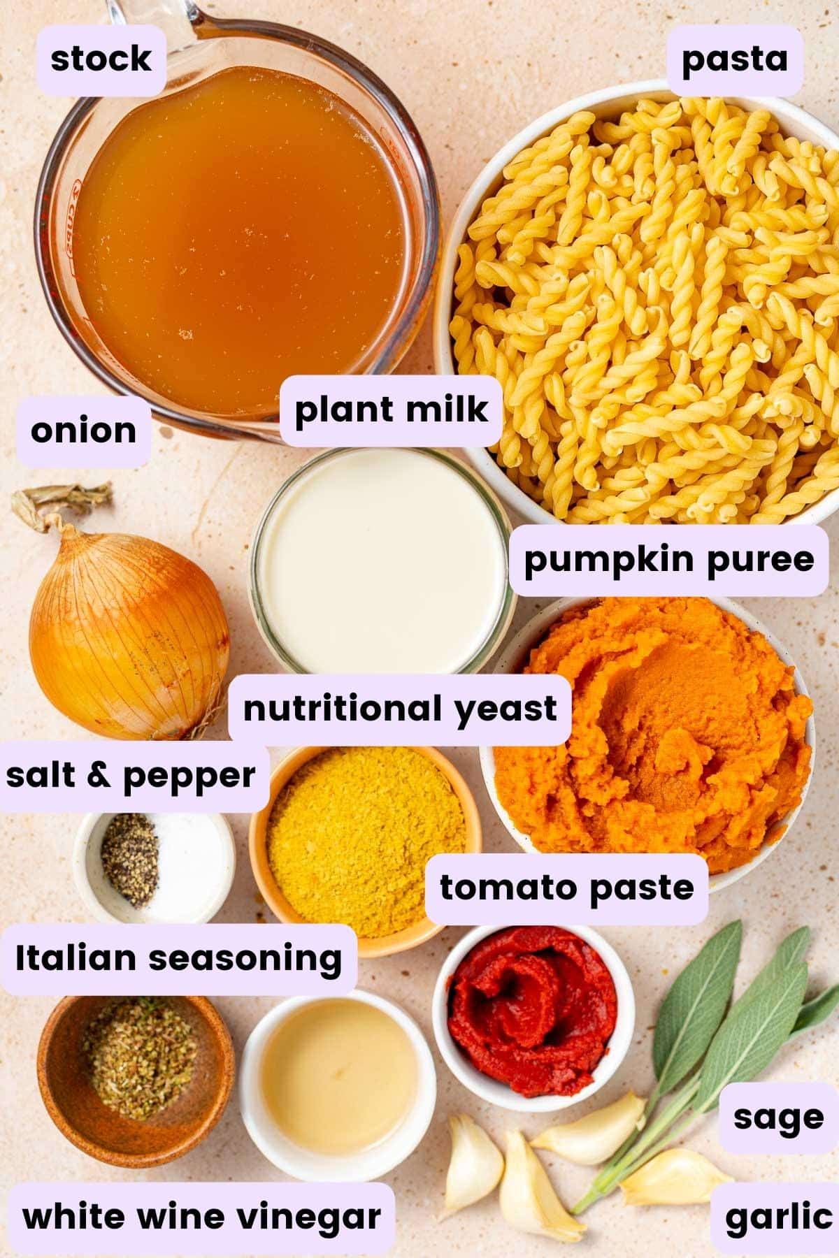 ingredients needed to make vegan pumpkin pasta as per the written ingredients list