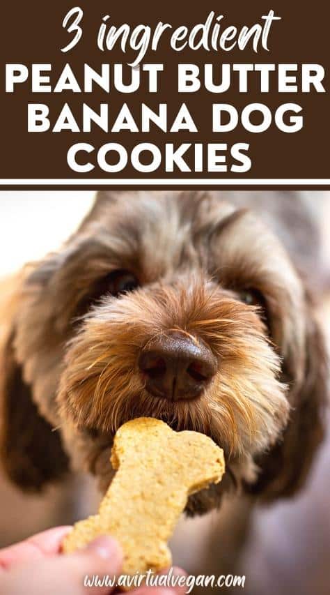 3 Ingredient Banana Peanut Butter Dog Treats - A Virtual Vegan