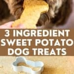 sweet potato dog treats