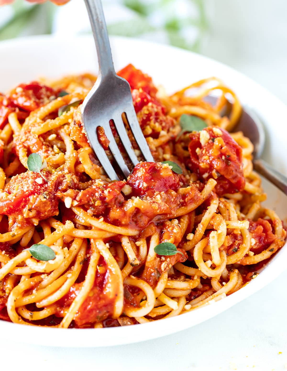 spaghetti with cherry tomato sauce