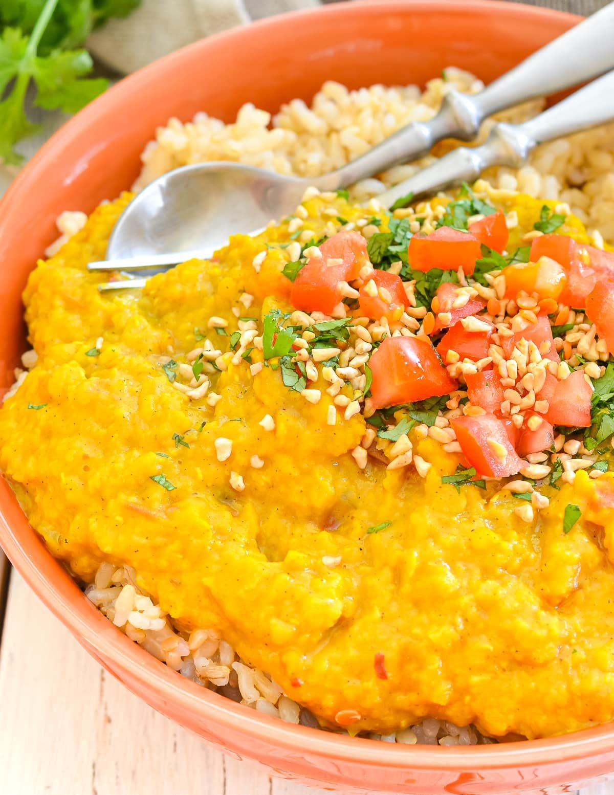 red lentil dal in a bowl