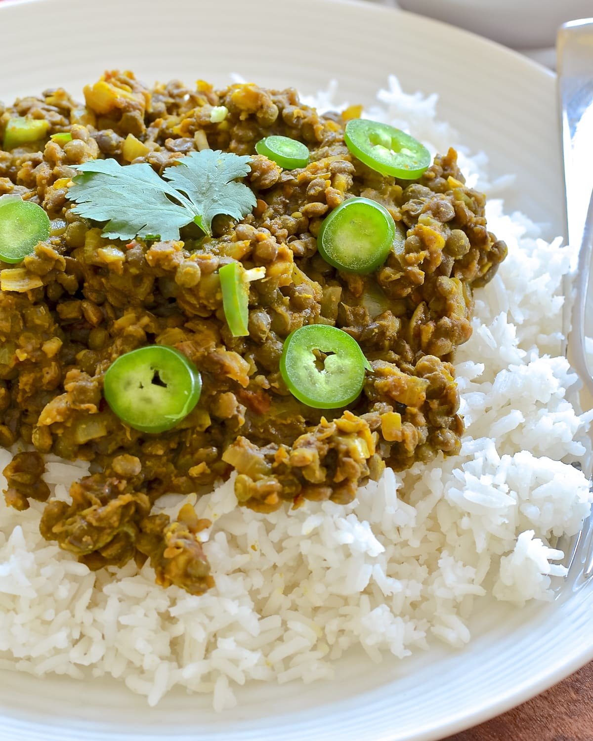 a plate of keema lentils with rice