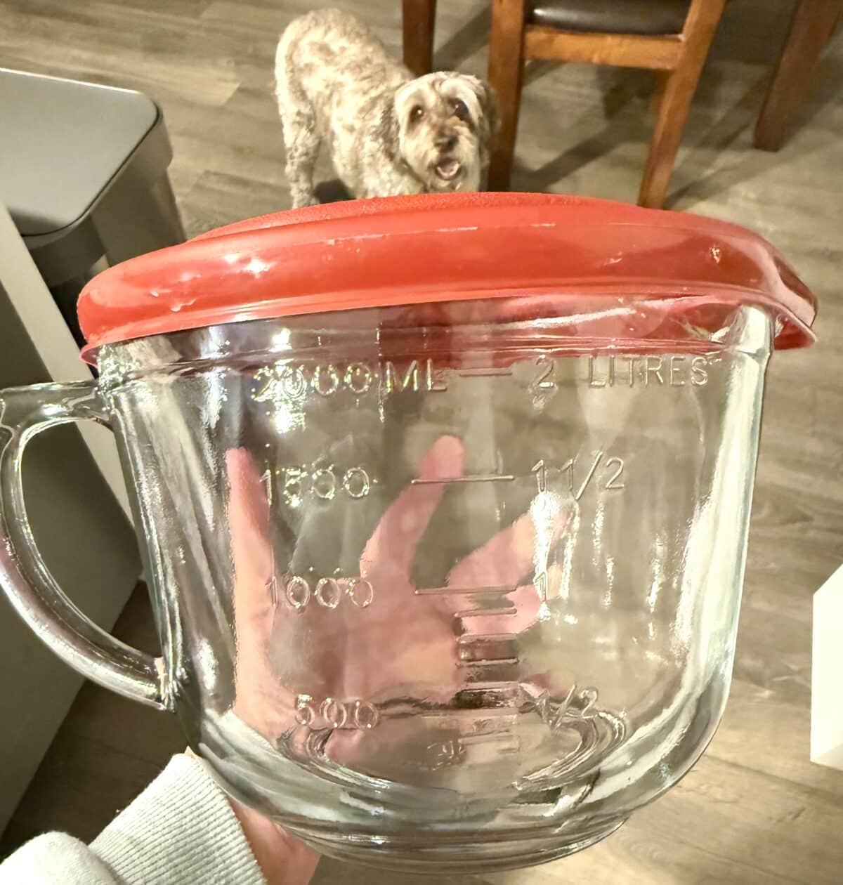 2 quart Anchor Hocking batter bowl with a cute dog in the background