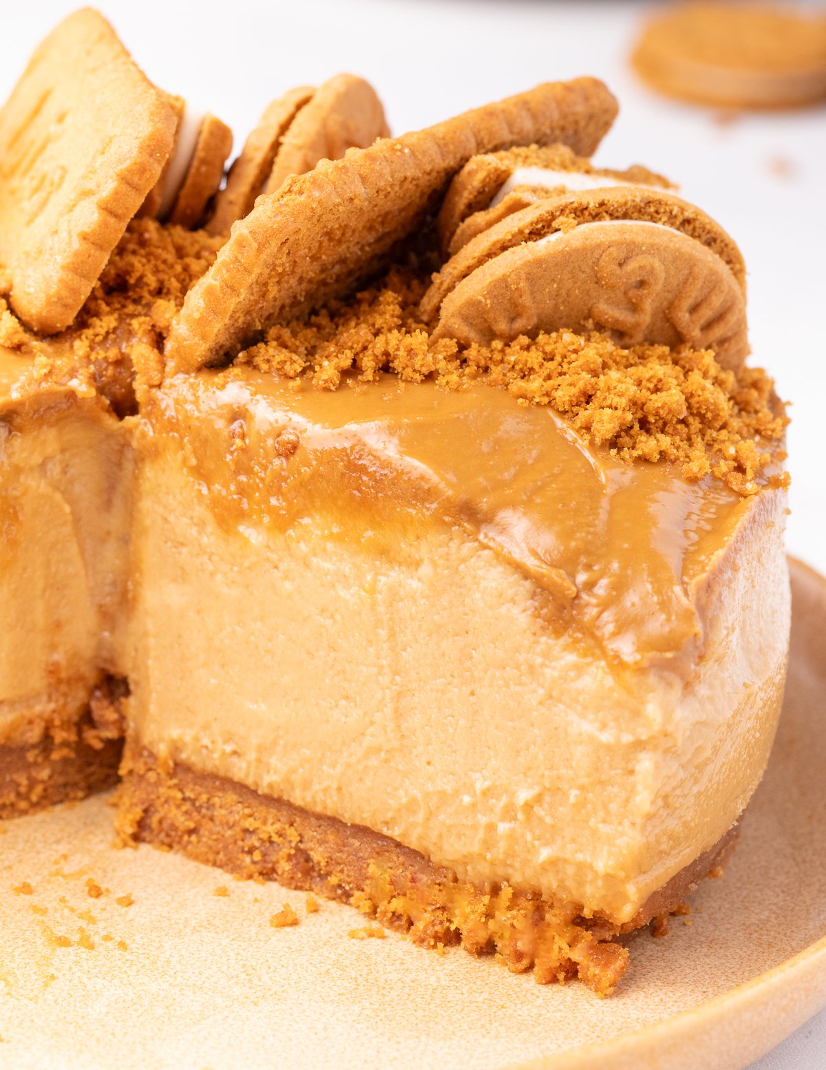 the gooey cut side of a Biscoff cheesecake