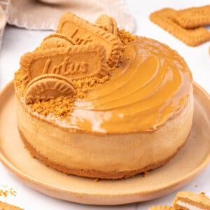 vegan Biscoff cheesecake decorate with Biscoff cookies