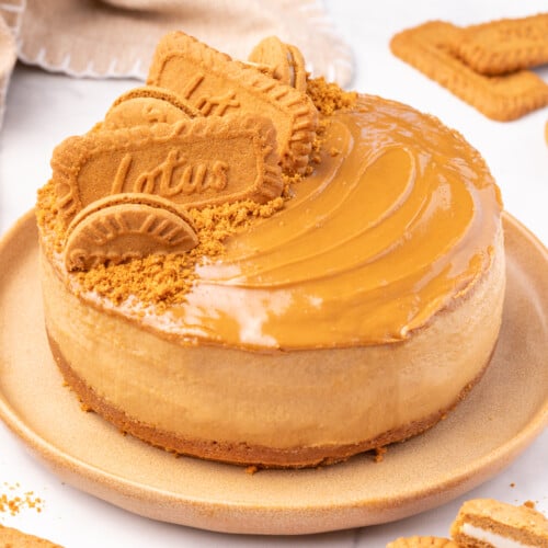 vegan Biscoff cheesecake decorate with Biscoff cookies