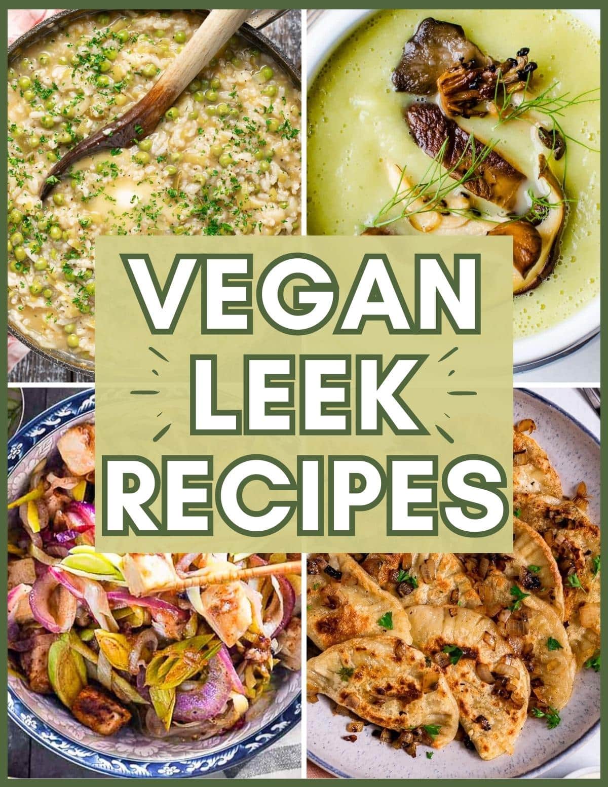 Vegan Leek Recipes