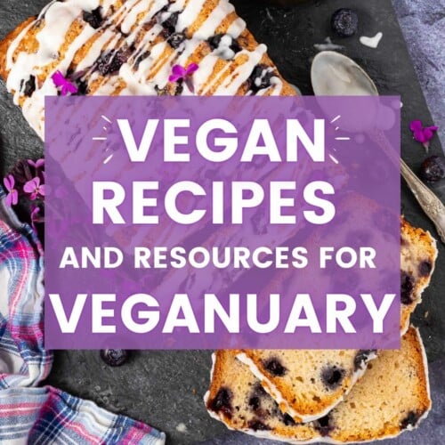 Vegan recipes & resources for Veganuary